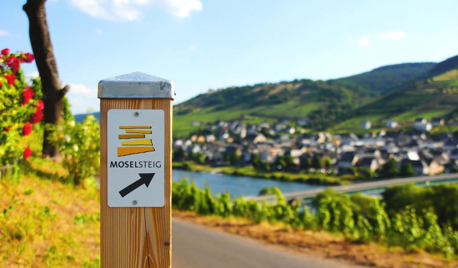 Gaestehaus Weingut Mathy-Schanz Osann-Monzel Ngoại thất bức ảnh