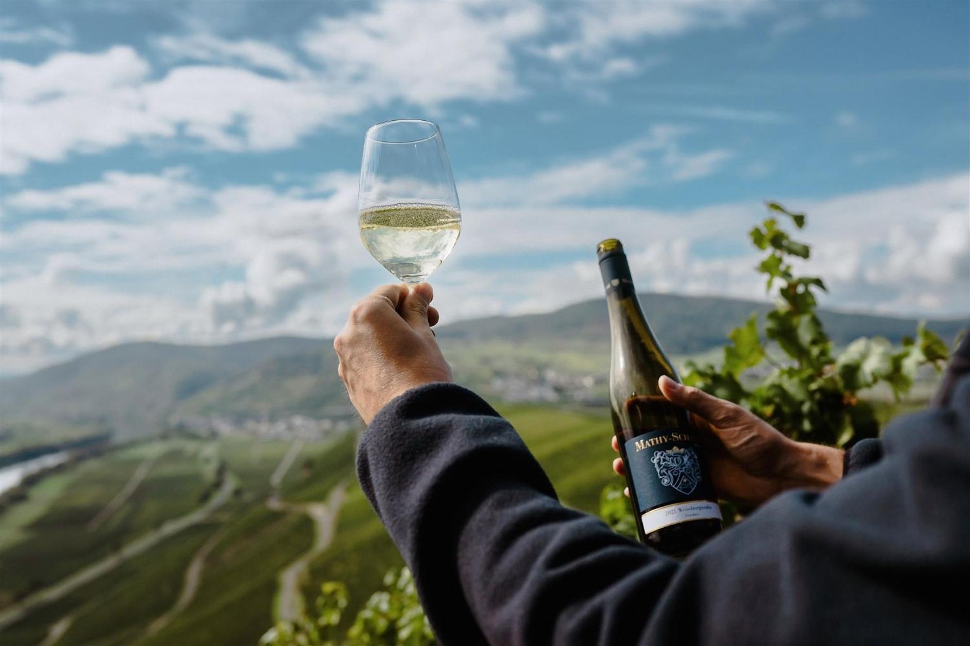 Gaestehaus Weingut Mathy-Schanz Osann-Monzel Ngoại thất bức ảnh