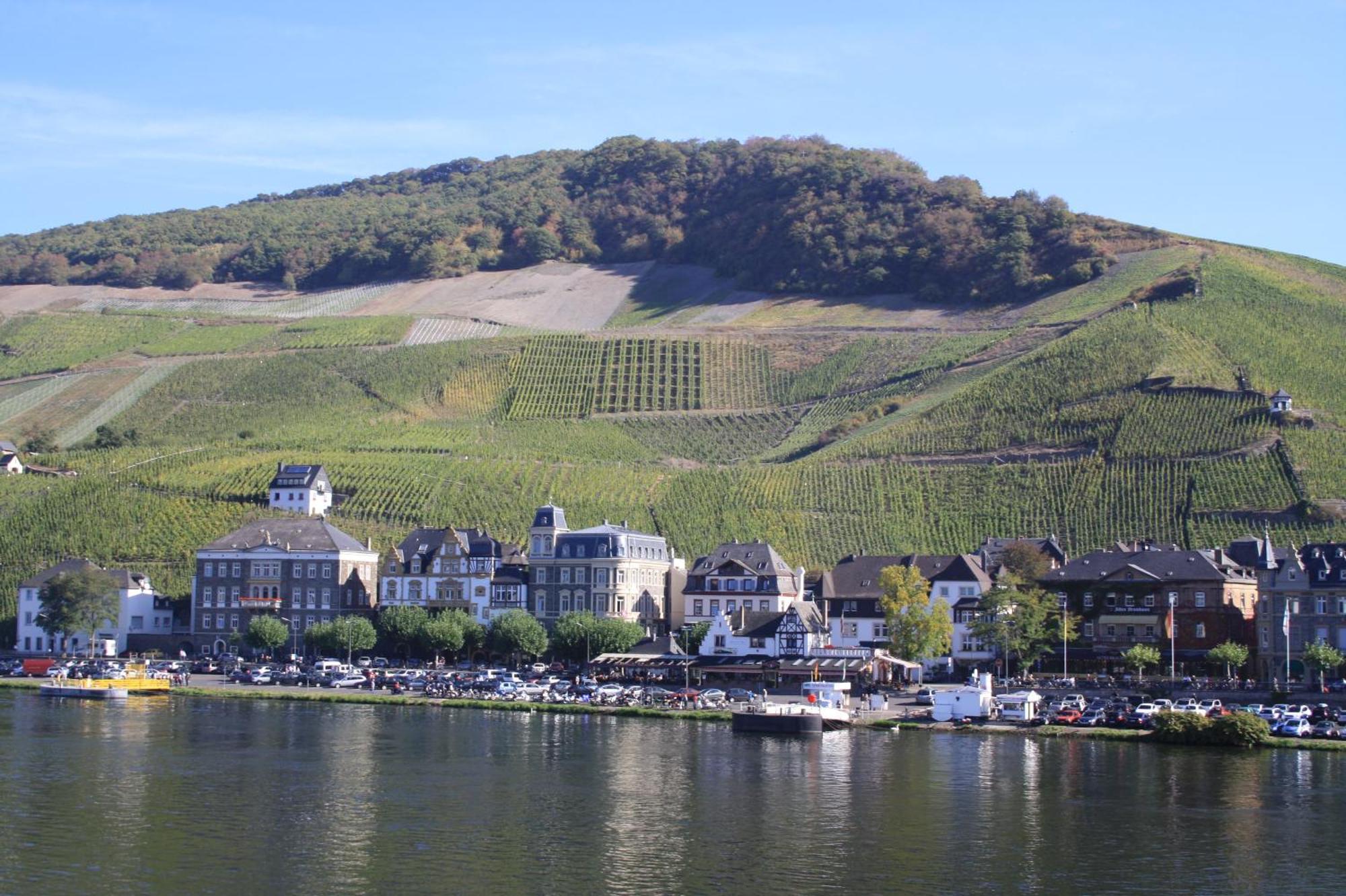 Gaestehaus Weingut Mathy-Schanz Osann-Monzel Ngoại thất bức ảnh