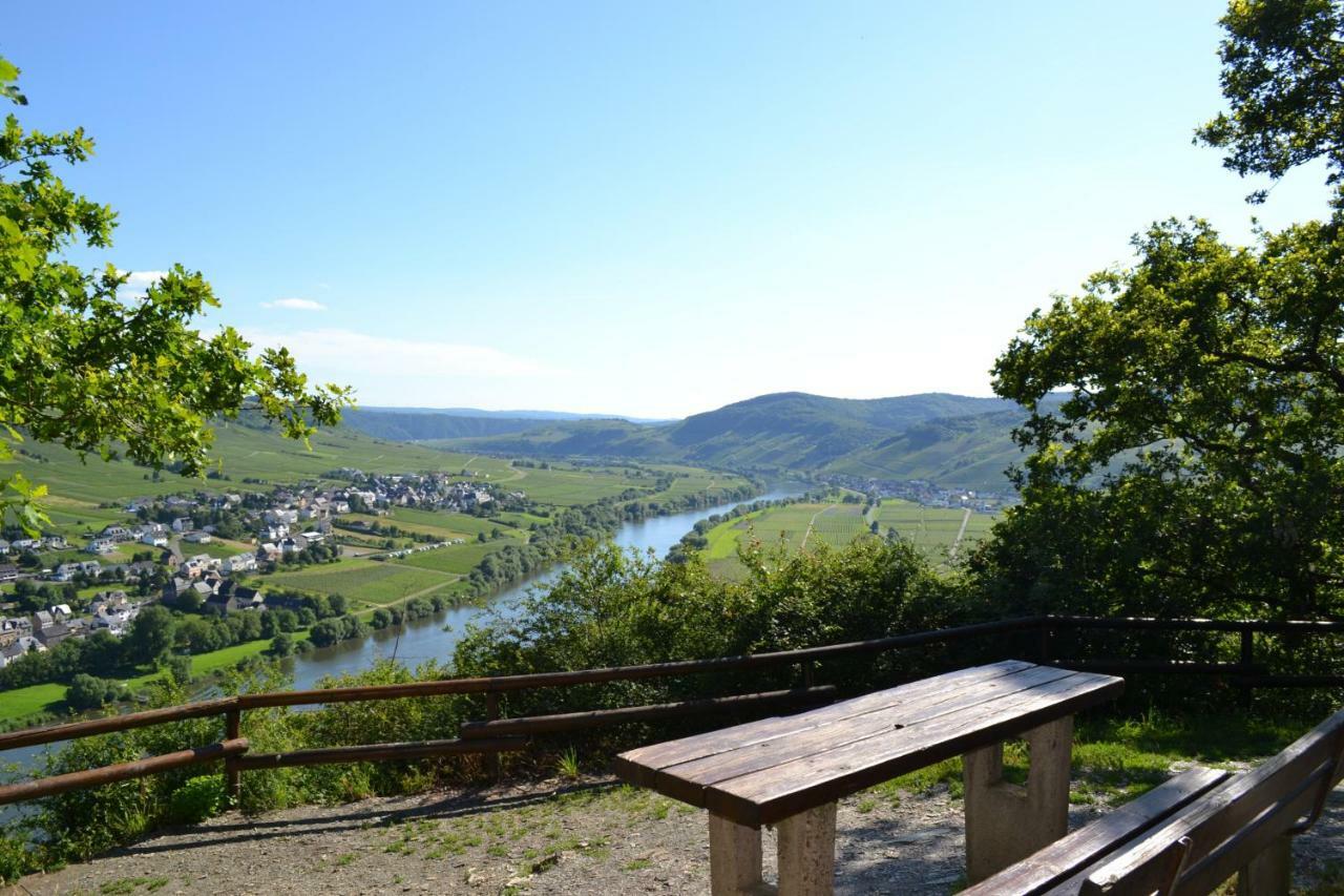 Gaestehaus Weingut Mathy-Schanz Osann-Monzel Ngoại thất bức ảnh